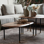 Celadon coffee table featuring a soft rounded form